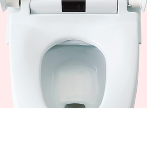 TOTO INAX ڼ޵