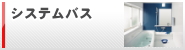 �V�X�e���o�X
